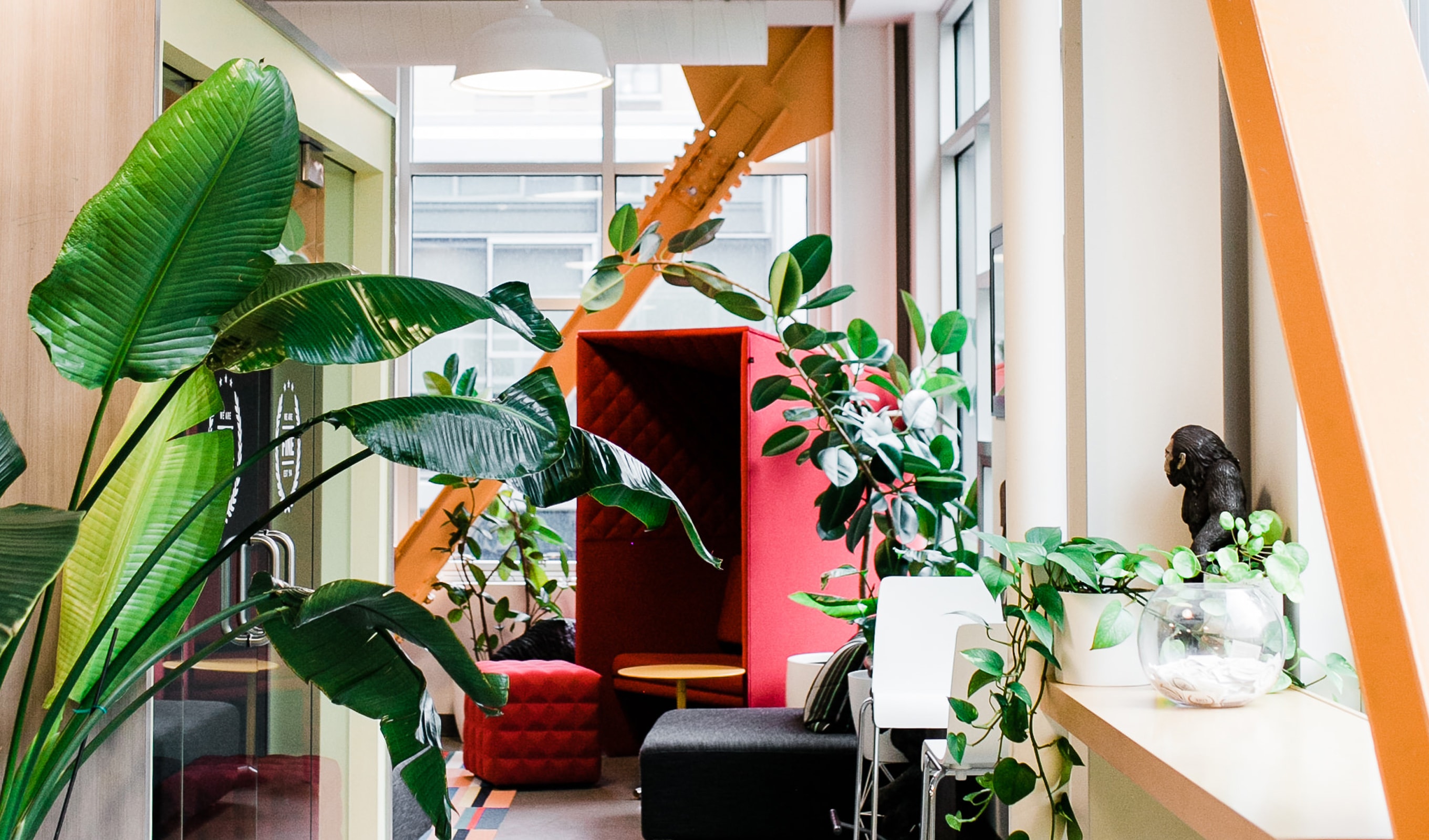 FINE brand and design agency